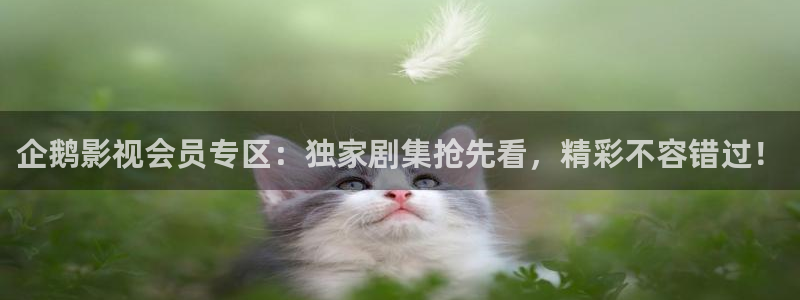 超碰三级在线观看：企鹅影视会员专区：独家剧集抢先看，精彩不容错过！