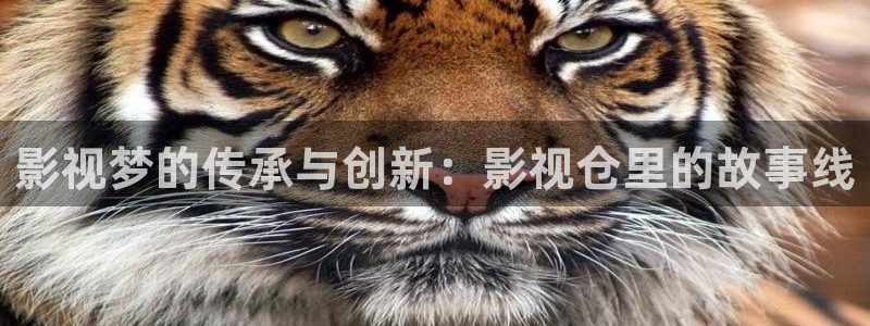 超碰97日本人人做人人爱：影视梦的传承与创新：影视仓里的故事线