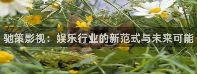 超碰在线免费在线视频：驰策影视：娱乐行业的新范式与未来可能