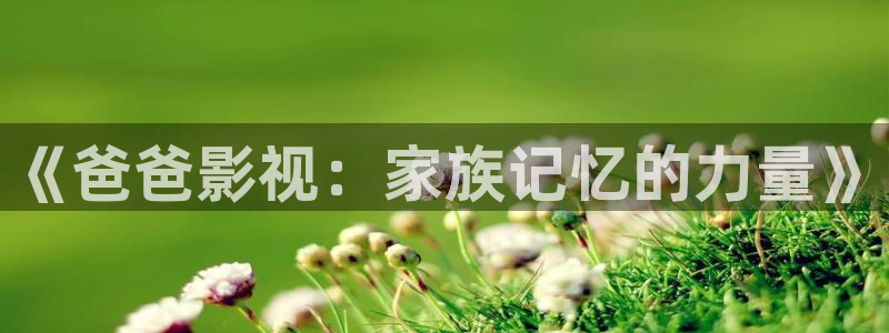 色吧超碰在线：《爸爸影视：家族记忆的力量》