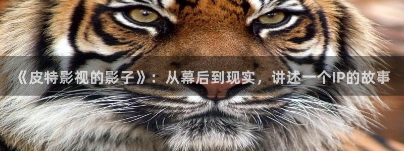 超碰在线播放免费：《皮特影视的影子》：从幕后到现实，讲述一个IP的故事
