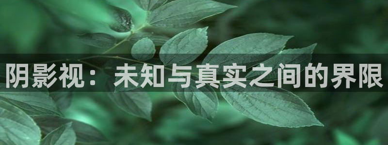 超碰97动漫：阴影视：未知与真实之间的界限