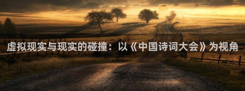国外超碰：虚拟现实与现实的碰撞：以《中国诗词大会》为视角