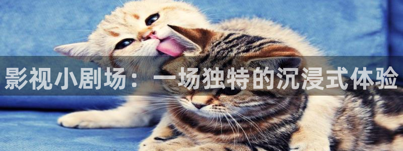 97爱超碰：影视小剧场：一场独特的沉浸式体验