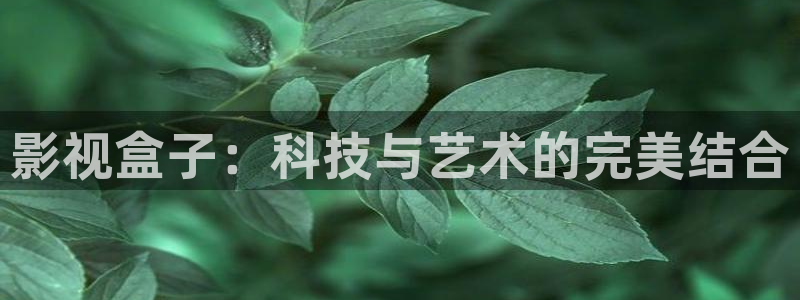 97超碰视频免费观看：影视盒子：科技与艺术的完美结合